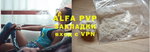 МДПВ Пересвет