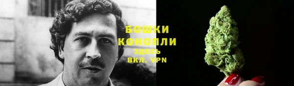 сатива Покачи