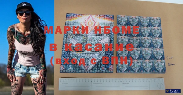 сатива Покачи