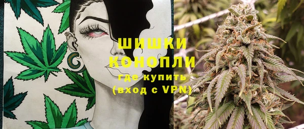 МДПВ Пересвет