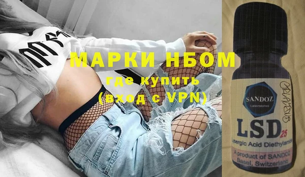 МДПВ Пересвет