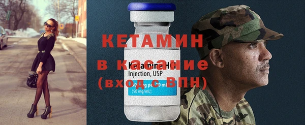 сатива Покачи