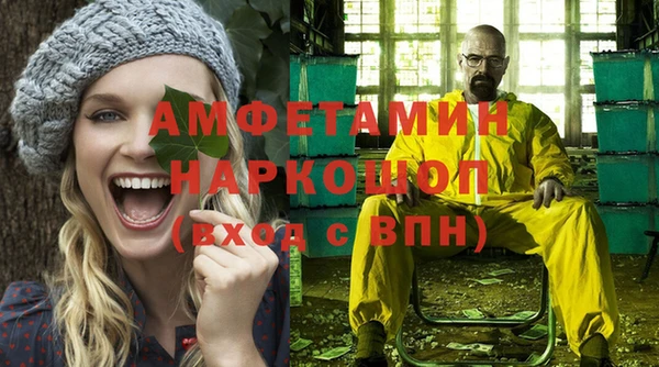 МДПВ Пересвет