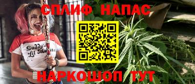 дмт Севастополь