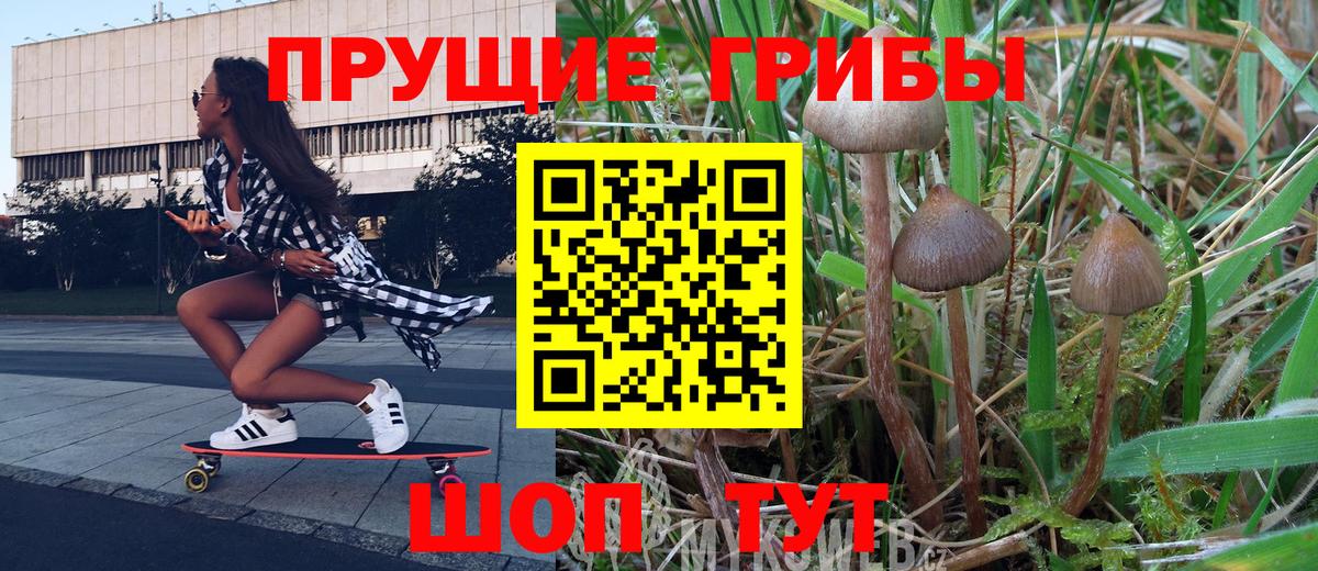 Галлюциногенные грибы MAGIC MUSHROOMS Ступино