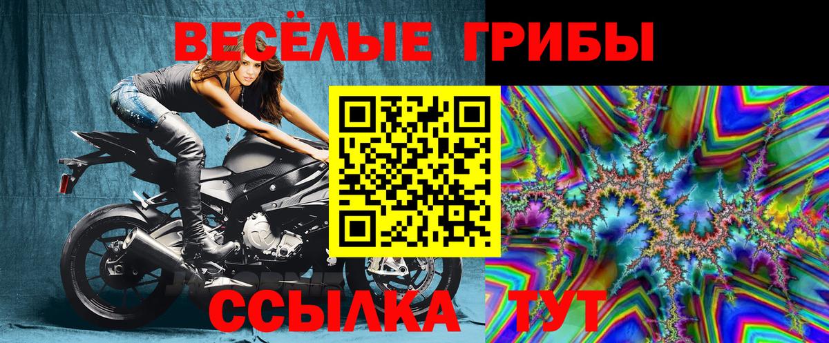 Псилоцибиновые грибы мухоморы Ступино