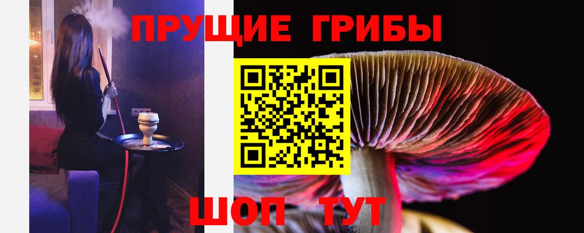 Псилоцибиновые грибы ЛСД  Вход с VPN  Галлюциногенные грибы GOLDEN TEACHER  дарнет шоп  Ступино 
