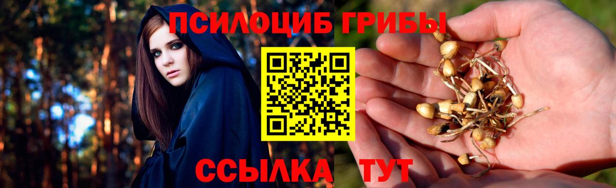 Галлюциногенные грибы ЛСД  Ступино  Псилоцибиновые грибы мухоморы 